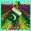 ghani.baloch212