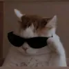 eu_dudinha_ofc112