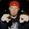 fandelimpbizkit