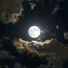 ℳ𝑜𝑜𝒩_𝒦𝒾𝓁𝓁𝑒ℛ👀🌒