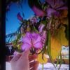 user82872911011145