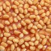 beans....7