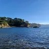 emilympe1