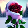 user7609422070475