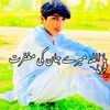 kassar.804