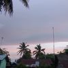 ecaa_ajaa284