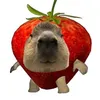 c4pyc4py3ara