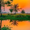 md.kamrul.4968