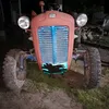 petar.mini1