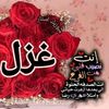 njalaa.saed