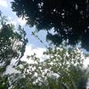 emlptr___