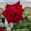 houda200738