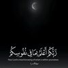user8111842541092
