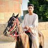 tamer.elomda3