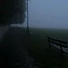 roee_23