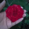 soao0102
