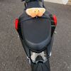 orangetriple7