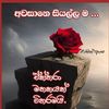405881840roshandesilva