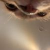 monira_ali2