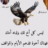 user2712529345394