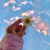 aseel3935