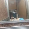 youssra.hassan7