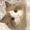 yomna1292