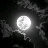 reem08989
