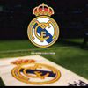 user3515251454316