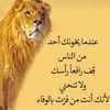 user14138747429664