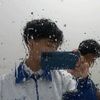 nik.rz3