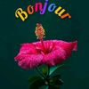 user85414876182766