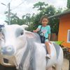 robertardayaarze
