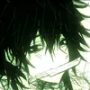 akira.hiro76