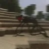 tanorythesniper