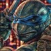 turtleproductions21
