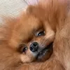 eva.vlogss6