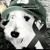 benja.insa6