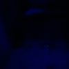 ian.7_1