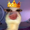 emienicole0