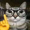 cesar.qa3