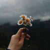 esthetic_048