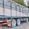 aung34486