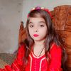 hassanraza.jagir