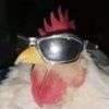 bazingajimmy3