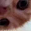 ksen_me0