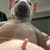 _.following