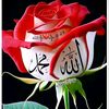 user2022471377201