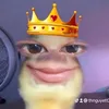 thnguyett222