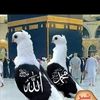 user76168371081495